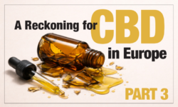 Europe’s CBD casualties mount as novel foods process radically reshapes the market