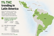 Brazil hemp stakeholders push for 1.0% THC limit, citing risk in tropical conditions