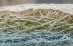 Brazil researchers say hemp fibers could extend life of recycled paper products