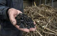 Proposed EU carbon market update could boost business case for hemp starting in 2030